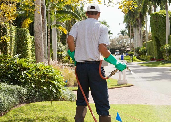 About Evansdale IA Pest Control Pros